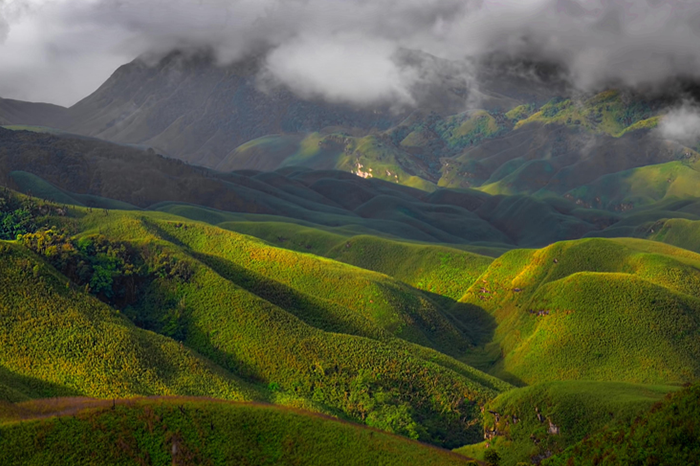 Dzukou Valley, Nagaland