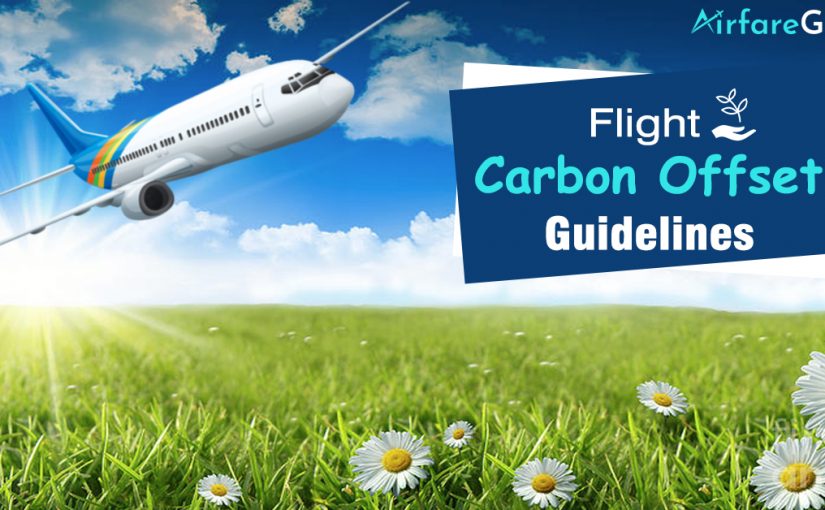 6 Flight Carbon Offset Guidelines for Air Travelers