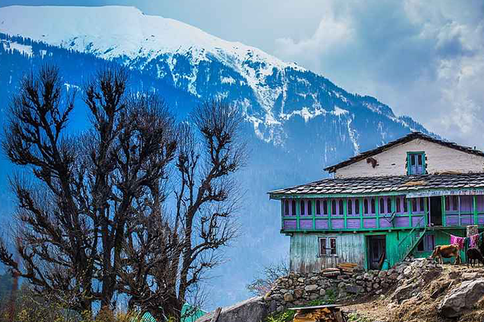 Moorang, Himachal Pradesh