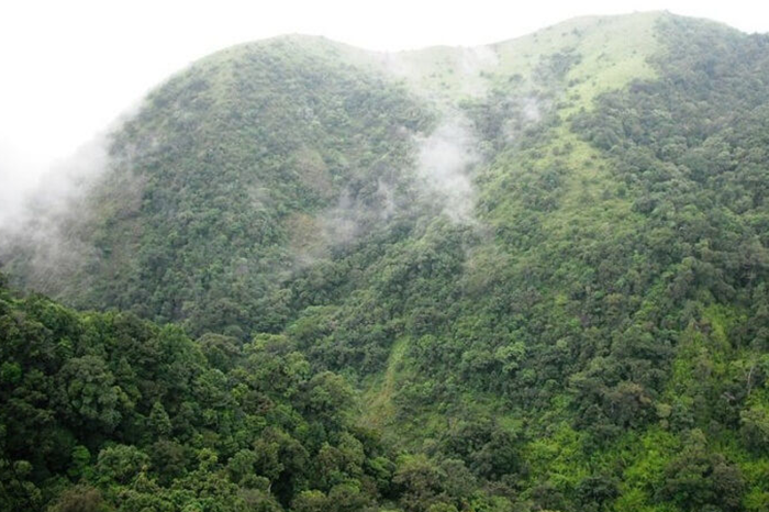 Silent Valley National Park, Kerala