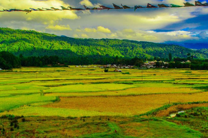 Ziro, Arunachal Pradesh